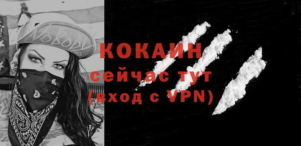 молекула духа Лихославль