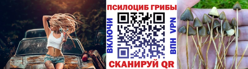Купить закладки  Мценск  Галлюциногенные грибы мухоморы 